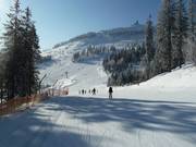 Family run with a view of the Arber summit