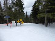 Difficult slope La Sapinière