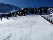 Beginner slope in Ampriu Park