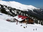 Mountain hut tip The Goat