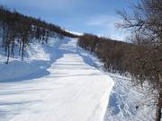 Slope Kamelpukkelen No. 7