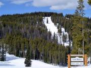 View of the Allover and Allover Glades slopes