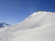 Powder snow slopes on the Schindlergrat