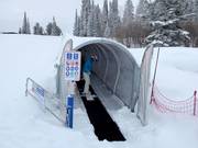 Magic Carpet 3 - People mover/Moving Carpet with cover