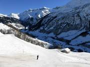Valley run Steinibach