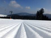 Very good slope grooming