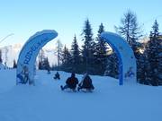 Tip for children  - Toboggan run on the Galsterberg