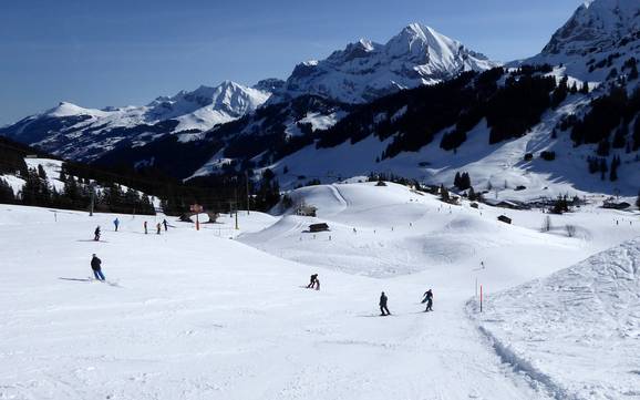 Ski resorts for beginners in the Engstligen Valley (Engstligental) – Beginners Adelboden/Lenk – Chuenisbärgli/Silleren/Hahnenmoos/Metsch