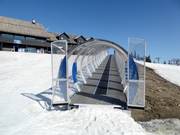 Lillebelte - People mover/Moving Carpet with cover