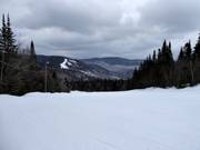 Easy slope La Lautentienne