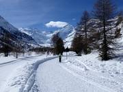 Trail to the terminus of the Morteratsch Glacier