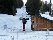 Haul Back T-Bar - T-bar