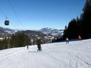 Easy family run at the 10-seater gondola Söllereck