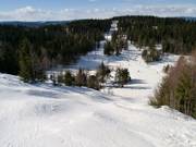 Mogul slope in Oslo Vinterpark