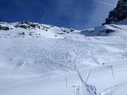 Morteratsch Glacier Run