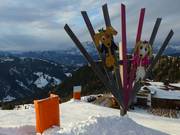 Tip for children  - Family Run