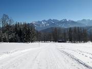 Easy slope from the Zauberlift to the Bergkristalllift