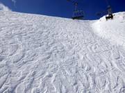 Plenty of open ski terrain