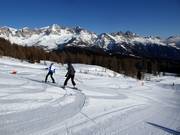 Easy slope Campo Scuola Le Buse (Falcade)