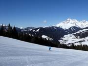 View from the Papageno slope towards Großberg