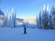 Descent Mid Life Crisis at Mt. Morrrisey