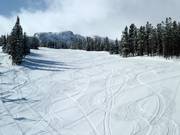 Easy slope Tumbleweed at the Huckleberry Chair
