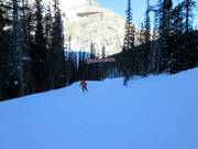 Easy valley run Banff Avenue