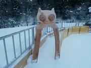 Children's access to the Mini Club