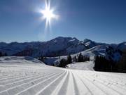 First-class slope grooming