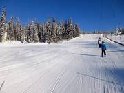 Very easy practice slope at the Village Platter