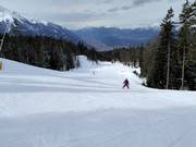 Slope at the Seewald II drag lift