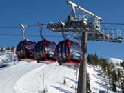 Village-2-Valley Gondoli - 8pers. Pulsed-movement aerial ropeway (gondola)