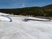 Tip for children  - Sorensen & Discovery Park 