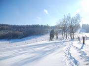 View of the ski area