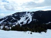 View of the slopes at Black Mountain