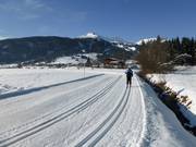 Cross-country ski trails in the Tiroler Zugspitz Arena