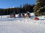 The snow cannons in the Marmot Basin ski area