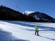 Feistritzlift - T-bar