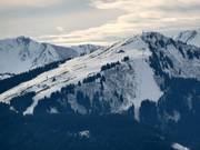 Pointe de Chéry, the sunny local mountain of Les Gets