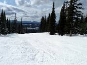 Sleepy Hollow downhill run