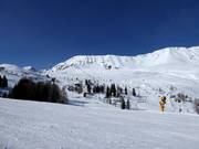 View towards Plansegg in Serfaus