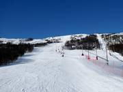 View of the Sysendalen ski area