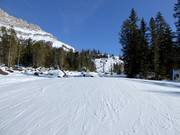 Slope No. 40 Franzin