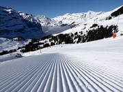 Perfectly groomed slope from the Kleine Scheidegg