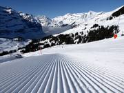 Perfectly groomed slope from Kleine Scheidegg