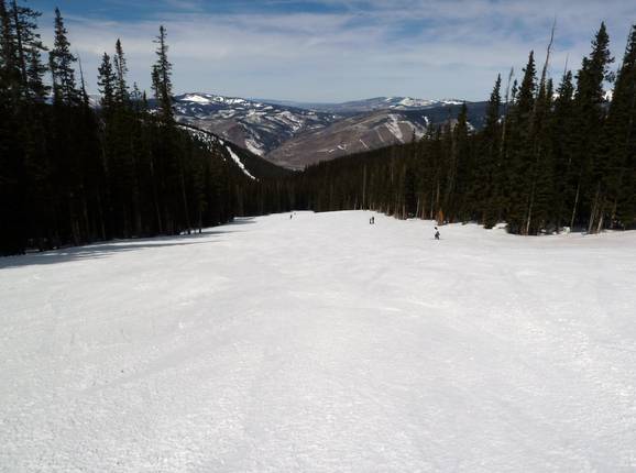 Typical forest glade run in Vail