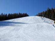 Slope Fondo Piccolo 4 No. 15