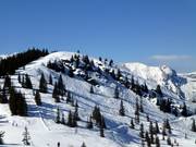Freeride terrain in the summit area of the Planai