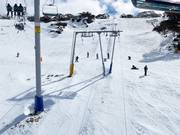 Wentworth T-Bar - T-bar