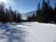 Hanse-Brand-Boden downhill run